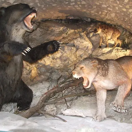 Stronski Park Aktywnosci Jaskinia Niedzwiedzia * Stronie Śląskie