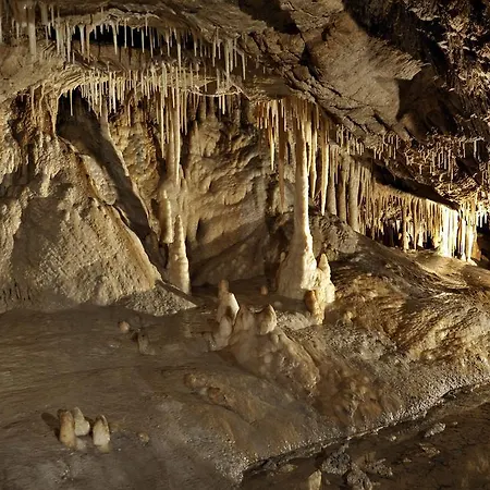Stronski Park Aktywnosci Jaskinia Niedzwiedzia